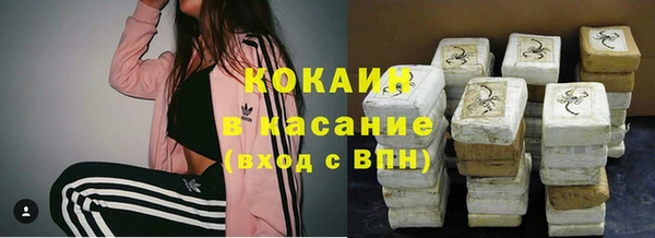 ПСИЛОЦИБИНОВЫЕ ГРИБЫ Горно-Алтайск