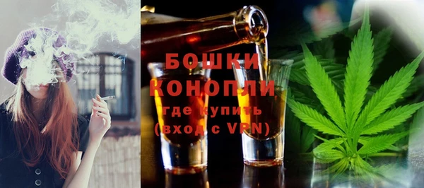 крисы Гусиноозёрск