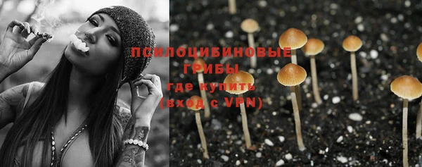 кристаллы Горняк