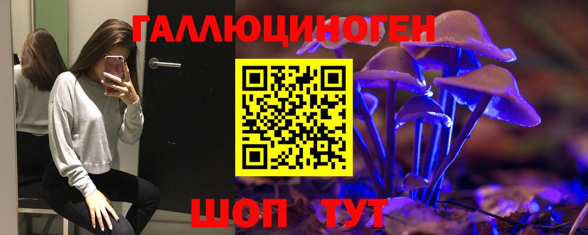 Галлюциногенные грибы GOLDEN TEACHER  Мариинск  Псилоцибиновые грибы GOLDEN TEACHER 